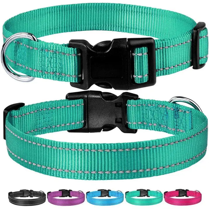 Reflective dog collar featuring two teal collars with black buckles for safety and style