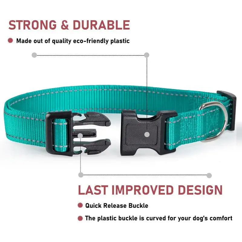 Teal reflective dog collar with black plastic buckle for visibility and safety