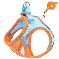 Orange and blue reflective pet harness with leash for safe outdoor walks