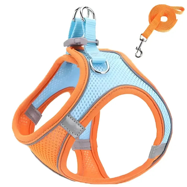 Orange and blue reflective pet harness with leash for safe outdoor walks