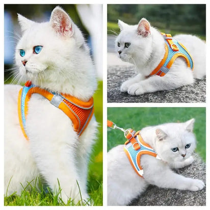 White cat wearing a colorful reflective pet harness from Reflective Pet Harnesses And Leashes Set