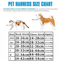 Pet harness size chart for reflective pet harnesses and leashes set in the product display