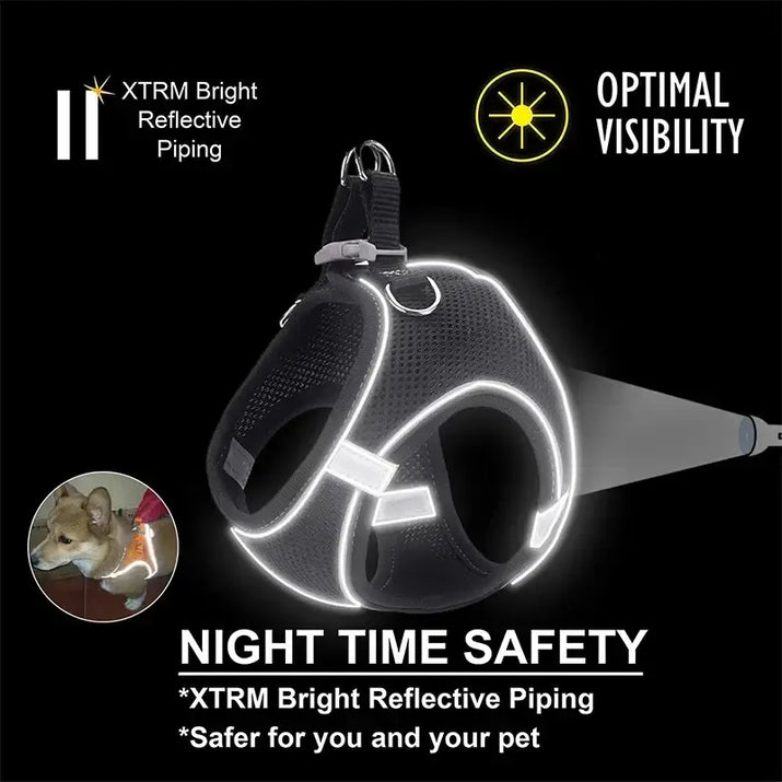 Reflective Pet Harnesses and Leashes Set featuring a reflective dog harness for visibility
