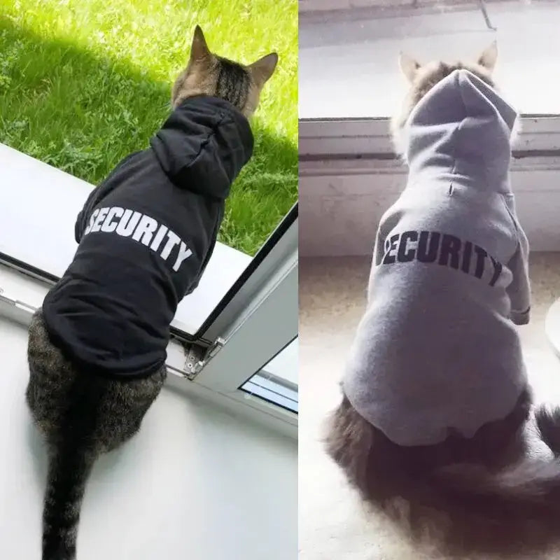 Cats wearing security hoodies in Security Dog Jacket for Furry Friends, feeling safe and secure