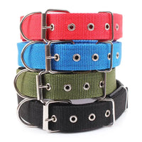 Stacked colorful solid dog collars in nylon for your pup’s style and durability