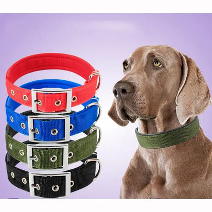 Stack of colorful solid dog collars made from durable nylon, perfect for your pup’s style