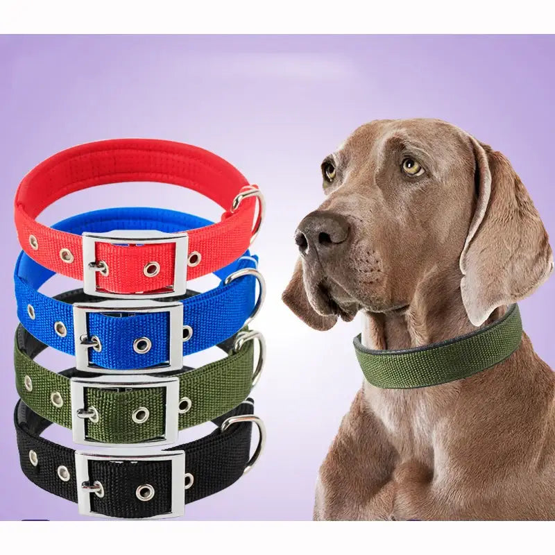 Stack of colorful solid dog collars made from durable nylon, perfect for your pup’s style