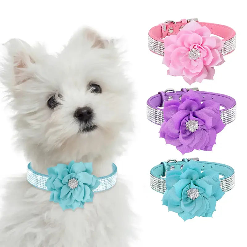 Dog wearing a sparkling rhinestone flower dog collar featuring a jeweled flower design