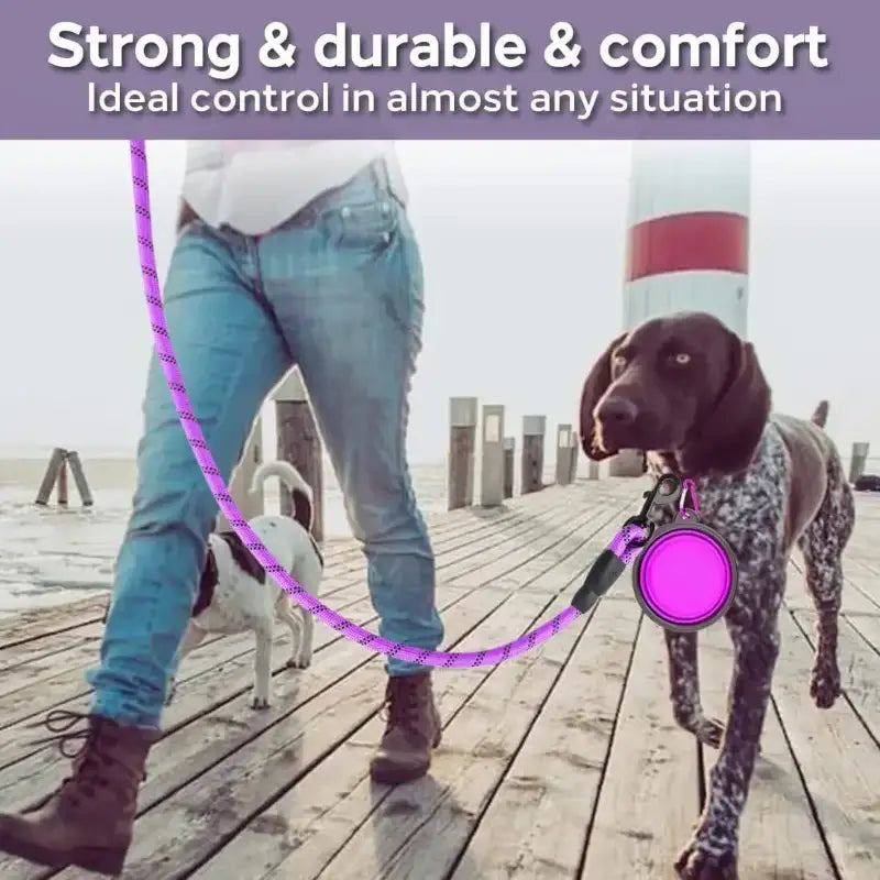 Strong Dog Leash with attached waste bag dispenser for durable dog leash control
