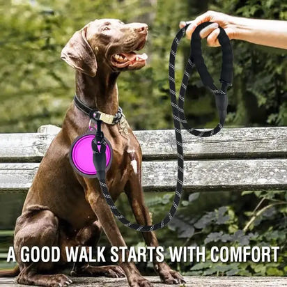 Strong Dog Leash with padded handle for secure and comfortable dog leash control
