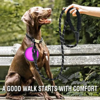 Strong Dog Leash with padded handle for secure and comfortable dog leash control