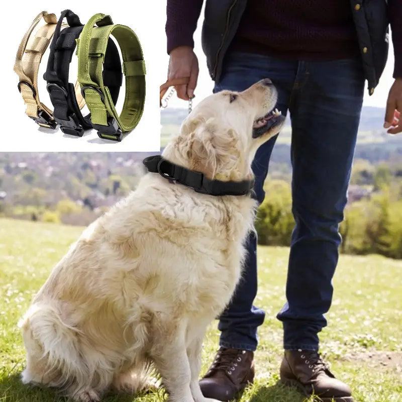 Tactical collar nylon dog collar for training and outdoor adventures
