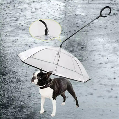 Transparent pet umbrella with leash handle, ideal for dogs during rainy weather