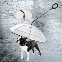 Transparent pet umbrella with leash handle, ideal for dogs during rainy weather
