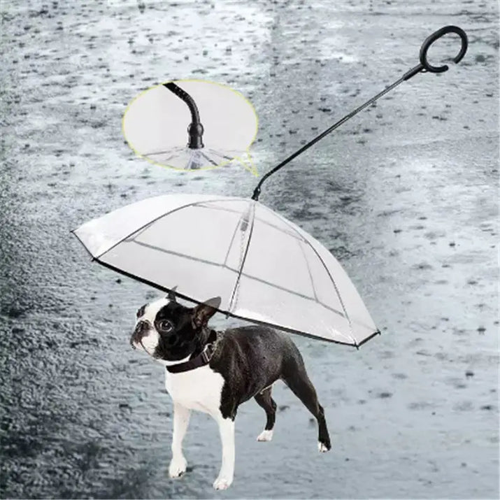 Transparent pet umbrella with leash handle, ideal for dogs during rainy weather