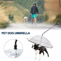 Transparent Pet Umbrella protects your pet from rain with clear, durable design