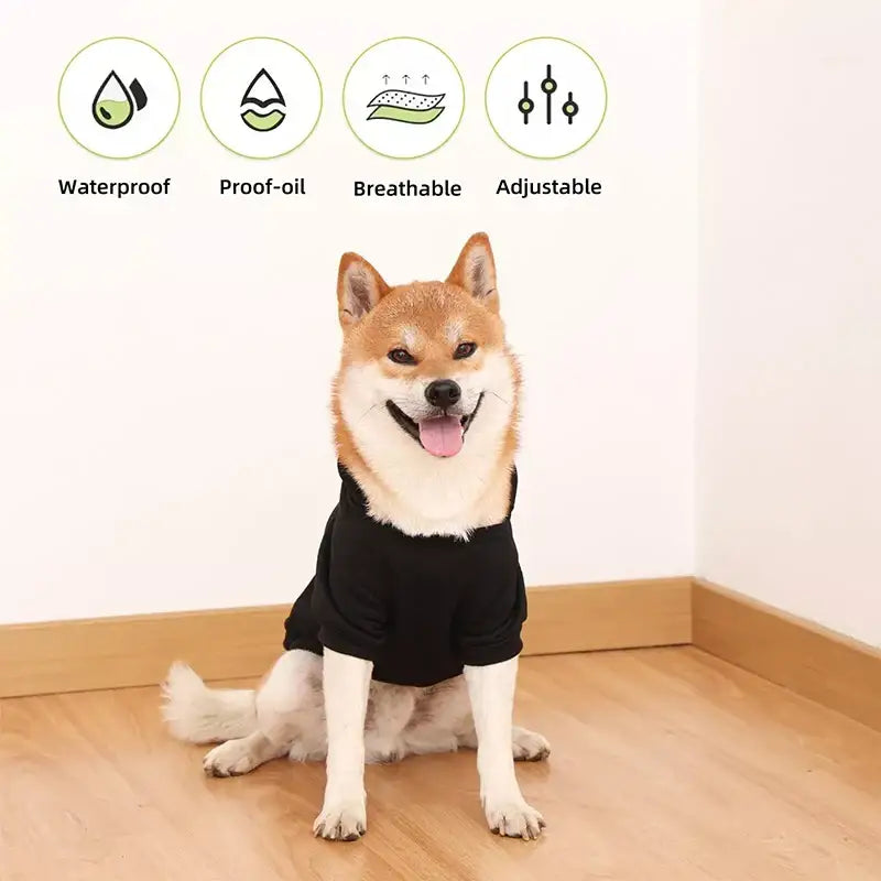 Dog wearing stylish black shirt in winter dog clothes collection for cold weather comfort