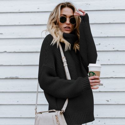 Thick Turtleneck Sweater sleek-selections